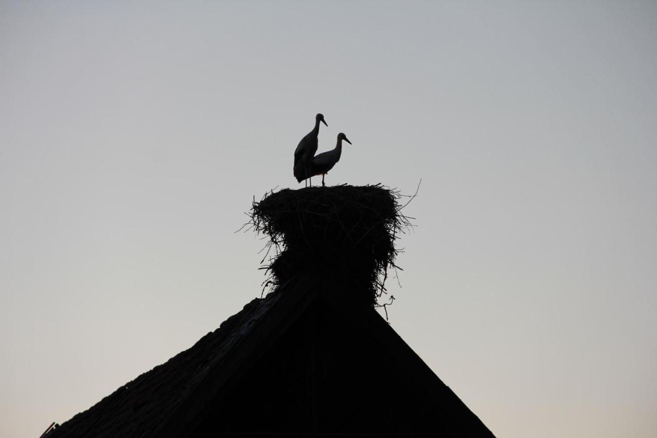Czarna Jachta - Na Szlaku Legend - - - - - Pokoje Nad Jeziorem Kruklanki Esterno foto